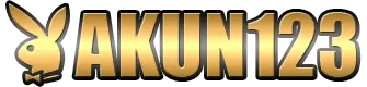 Logo Akun123